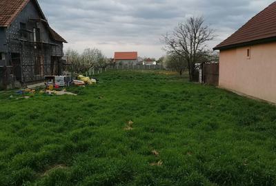 Teren de 2300 mp, în Săcălaz