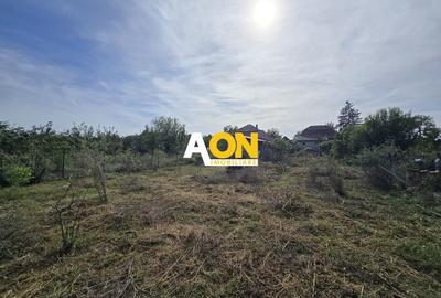 Casa 3 Camere, 1100mp Teren cu Garaj, Gura Ariesului - 8