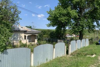 Casă cu 3 camere cu Teren 2600 Mp în Central - 7