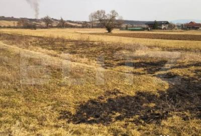 Teren de 4000 mp, în Central