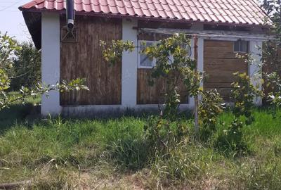 Casa + terenuri in jud. Arges - 3