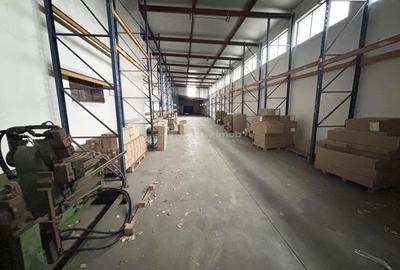 Hala 2532 mp - Calea Borsului - teren 3045 mp - 1