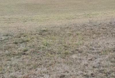 Spațiu comercial, în Central - 1