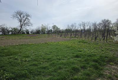 Casă cu 3 camere în Secuieni - 1