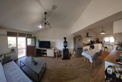 Casă cu 6 camere cu Teren 3000 Mp în Cataloi - 16