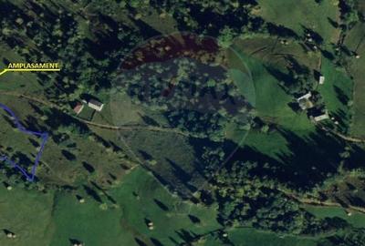 Teren Construcții intravilan de 8119 mp, în Călățele - 3