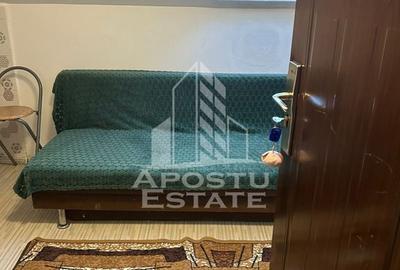 Garsonieră nedecomandată, mobilată în Iosefin - 6