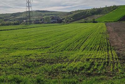 Spațiu comercial, în Gădălin - 1