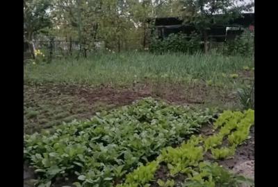 Proprietar vand casa cu teren 2500m2 in Domne?ti Ilfov - 5