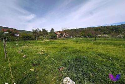 Teren de 550 mp, în Central
