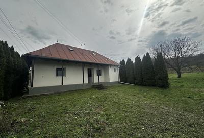 Casă cu 2 camere cu Teren 2700 Mp în Mica - 7