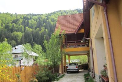 Voineasa, Valcea, vila 13 camere, altitudine 700 m - 5