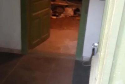 Casă cu 4 camere cu Teren 2000 Mp în Bujoreni - 2