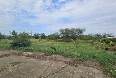 TEREN DE VANZARE INTRAVILAN IN ZONA INDUSTRIALA 10000 mp Onesti - 6