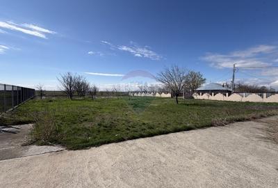 Casă cu 5 camere cu Teren 3400 Mp în Răchitosu - 25