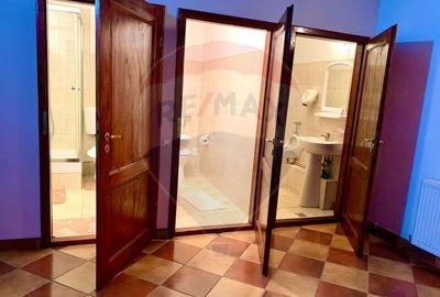 Pensiune cu 13 camere de vanzare in Bulz - 10