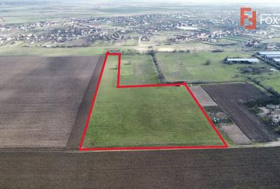 Teren Construcții intravilan de 20000 mp, în Pădureni (Jebel) - 2