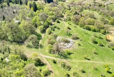 Teren Intravilan parcele 1000mp - 13