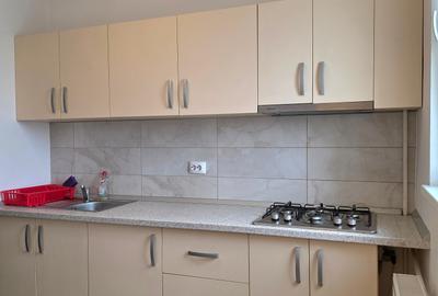 Apartament cu 2 camere decomandat, mobilat în Camil Ressu - 9