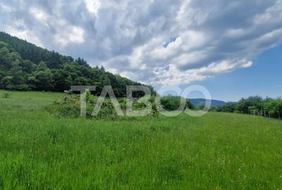 Teren de 1645 mp, în Orlat - 4