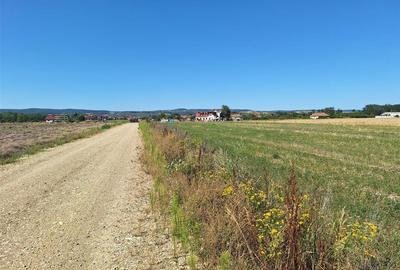 Teren Construcții intravilan de 728.17999267578 mp, în Oșorhei - 2