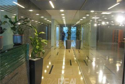 Spațiu comercial, de 317.47 mp, în Floreasca - 4