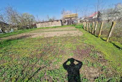 Casă cu 4 camere cu Teren 2170 Mp în Nucetu - 3