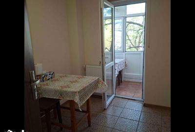 Apartament cu 2 camere decomandat în Brazda lui Novac - 9