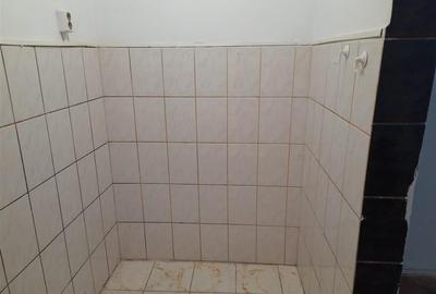 Garsoniera Parter zona Buziasului - 7