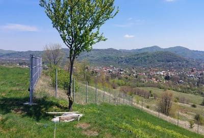 Teren Campina varful Muscel - 12