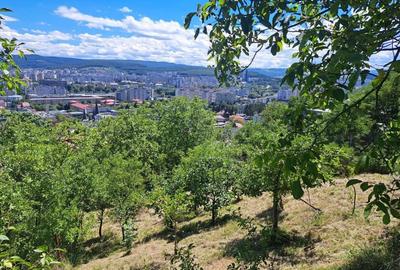 Teren Construcții intravilan de 1640 mp, în Grigorescu - 6