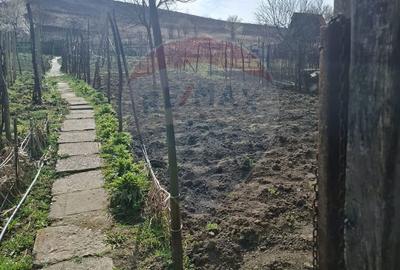 Casă cu 3 camere cu Teren 773 Mp în Târnava - 5