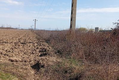 Spațiu comercial, în Apa - 4