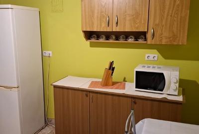 Casă individuală cu 3 camere cu Teren 2850 Mp în Comloșu Mare - 6