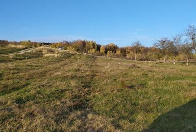 Spațiu comercial, în Voila - 11