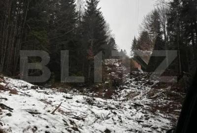 Teren de 4000 mp, în Calea Moroieni - 2