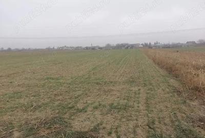Teren în Tețcani - 1