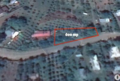 Casă cu 5 camere cu Teren 1250 Mp în Dumbrăveni - 7