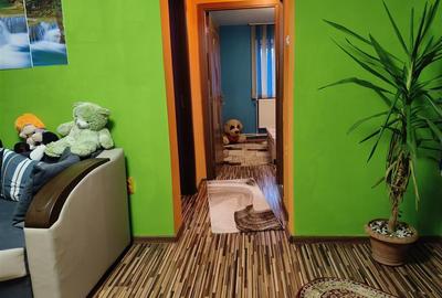 Apartament cu 4 camere nedecomandat în Viziru 1 - 2