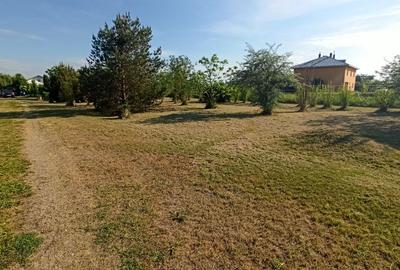 Teren de 50000 mp, în Zorile - 2