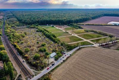 Vilă De Vanzare  Conac Modern  Zonă De Vis Cu Pădure Și Gară La Scară - 3
