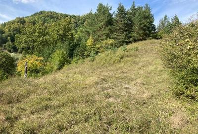 Teren de 4420 mp, în Vinețisu - 2