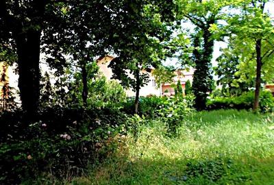 Apartament 3 camere, decomandat parter,Ploiesti, Cina, comision 0 - 2