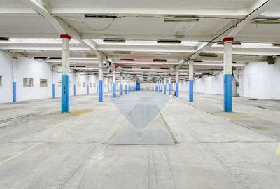 Inchiriere spatiu industrial, depozit, langa Brasov, Acces TIR - 3