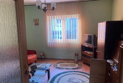 Casa de vanare, zona linistita vedere la Dunare - 2