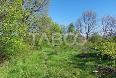 Teren 3445 mp pentru persoanele care doresc casa  cu teren generos Teren 3445 mp pentru persoanele care doresc casa  cu teren generos - 6