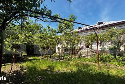 Casă cu 4 camere în Balota de Jos - 7