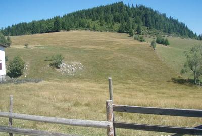 Teren de 5200 mp, în Fundata