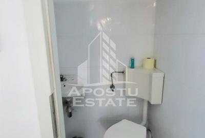 Casa individuala,independenta energetic, 5 camere,teren3783,Peciu Nou - 17