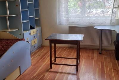 Casă cu 2 camere în Miniș - 7